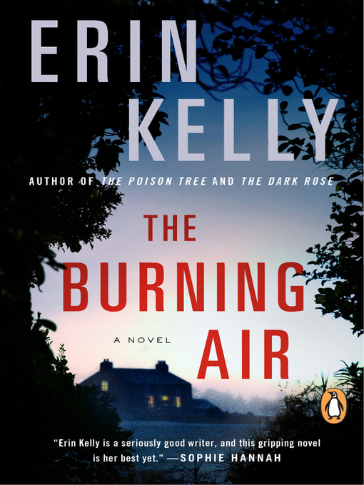 Title details for The Burning Air by Erin Kelly - Available